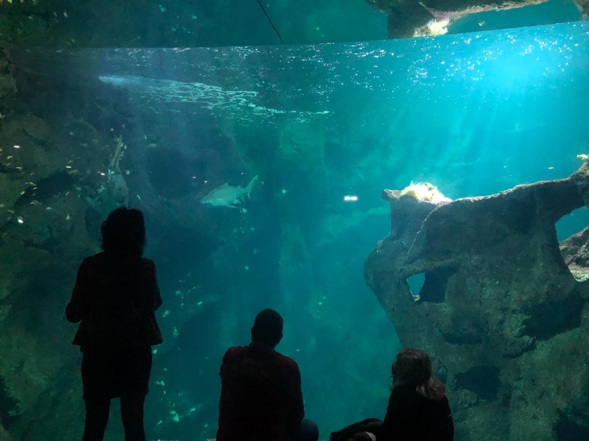 Nuit Insolite Sur Un Voilier Au Coeur De La Rochelle ラ・ロシェル エクステリア 写真